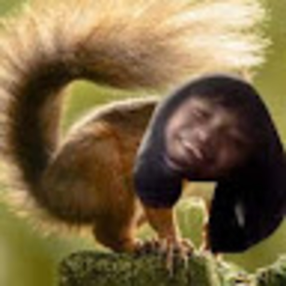 Meet your Posher, Evie